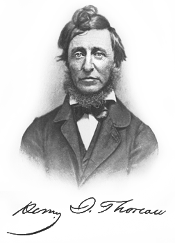 H D Thoreau